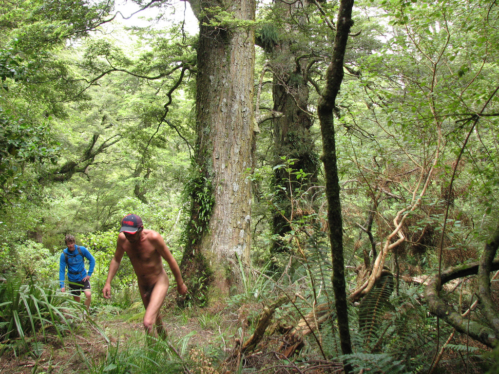teens discussing anal sex alabama nude hiking
